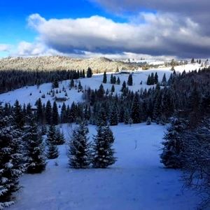 Meet your Posher, Ioana